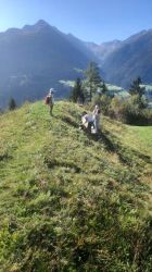 WhatsApp Image 2025 09 26 At 10.14.17 1